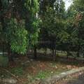 Residential Land In Ernakulam, India (ref. 34667048)