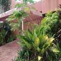 (32808 sqft lot) Massive 4 story colonial house for sale in Alvalade, Luanda