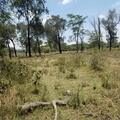 Naivasha Great Rift Valley 1067acres Land for Sale