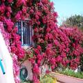 Villa with pool and great sea views
