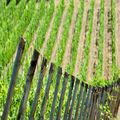 Operating wine company in a prestigious area between Siena and Arezzo