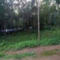Residential Land In Ernakulam, India (ref. 34667963)