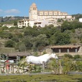 Farm with 3 houses for sale in calvia mallorca spain
