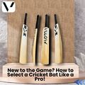 New to the Game? How to Select a Cricket Bat Like a Pro!