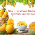 Mango From Indian Farms to Global Markets