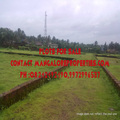 6 cents Layout Land for sale at Vamanjoor