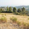 Land 16000 M2 In Kassandra, Chalkidiki (ref. 2288)