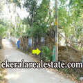Kaniyapuram house plot 50 cents for sale