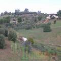 Land in Sicily - Cilona Cda Scibbolone