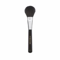 Face Brush