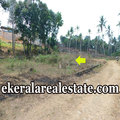 Sreekariyam 2 acre lorry land for sale