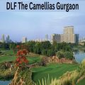 DLF The Dahlias Ultra-Luxury Residences in Sector 54, Gurgaon