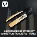 Lightweight Cricket Bats for Heavy Hitters!