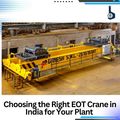 Choosing the Right EOT Crane in India for Your Plant