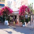 Luxury boutique in excellent location on the beach of Paguera/Mallorca