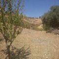 Land in Sicily - Vaccaro Quarto Rocchi