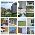 We provide 1 2 3 bhk furnish or non furnish house flats