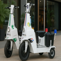 Smarter Electric Chariot Fast Safe And EcoFriendly Ride