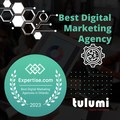 Tulumi Digital Marketing