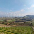 Villa in the heart of Langhe