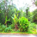 Residential Land Malay Reserve For Sale