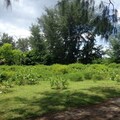 Beachfront land for sale in Gili Meno Island North Lombok Indonesia