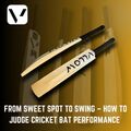 From Sweet Spot to Swing How to Judge Cricket Bat Performance