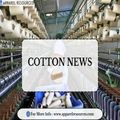 Latest Cotton News and Industry Trends at Apparel Resources
