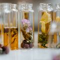 Best Fresh Perfume for Her and Festival Gift Set Offers
