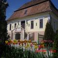 Lordly house/manor