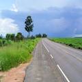 Registered Virgin Land for Sale