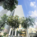 Selling Grade A building, frontage Nguyen Dinh Chieu, Ward Da Kao, District 1, Ho Chi Minh City