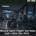Missed Spirit Flight Get Help Call 8332547013