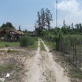 1000 square meter lot FOR SALE in Pundaquit