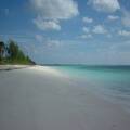 Bahama Palm Shores Beach Lot For Sale