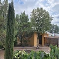 Property available for rent in 1713 N Delaware Ave, Roswell, NM 88201