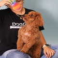 Top Rated Pet Daycare in Miami Fun, Safe & Loving Care!