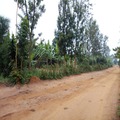 2 hectares@28 000 000 Rwf