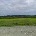 Lot for Sale or Installment in Tagum City, Davao