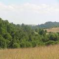 Land for Development