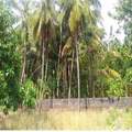 Residential Land In Trichur, India (ref. 32802855)