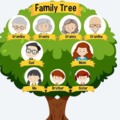Discover the Powerful Features of Family Tree Maker 2024