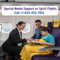 Special Needs Support on Spirit Flights Call 8332547013
