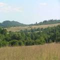 Developed Land