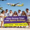 Plan Group Trips with Spirit Airlines Call 8332547013