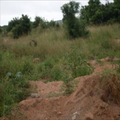 Land for sale at Tema comunity 25
