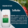Soilbuilder