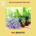 On The Navratri, Ag Organica Products Have Been Reduced