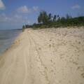 Beachfront Waterfront Lots