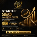Low-Budget SEO Plans for New Websites